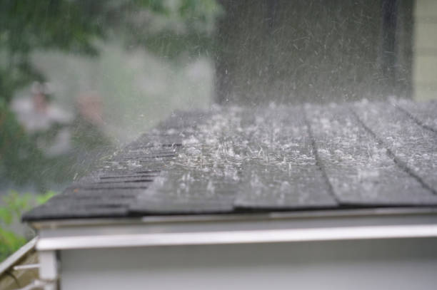 Best Skylight Installation and Repair  in Half Moon Bay, CA