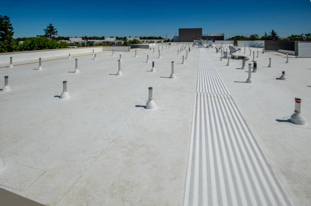 Best Sheet Metal Roofing  in Half Moon Bay, CA